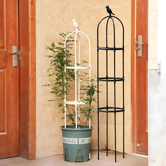 Climbing Plant Trellis Cage for Pots